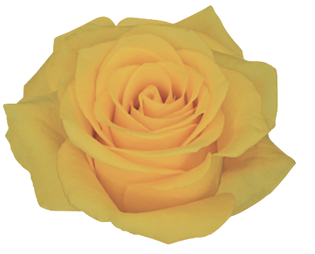 Screenshot 2026-03-11 at 7.09.53 PM