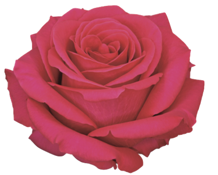 Screenshot 2026-03-11 at 8.01.22 PM